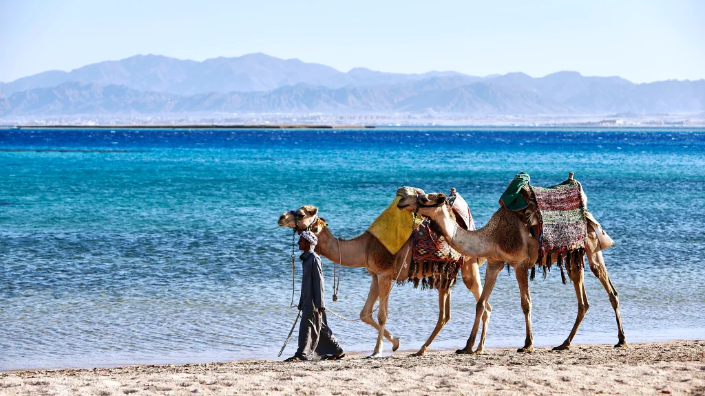 الفندق كمبنسكي - سوما باي